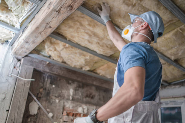Best Insulation Maintenance and Repair in Circleville, OH